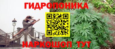 дурь Новокубанск