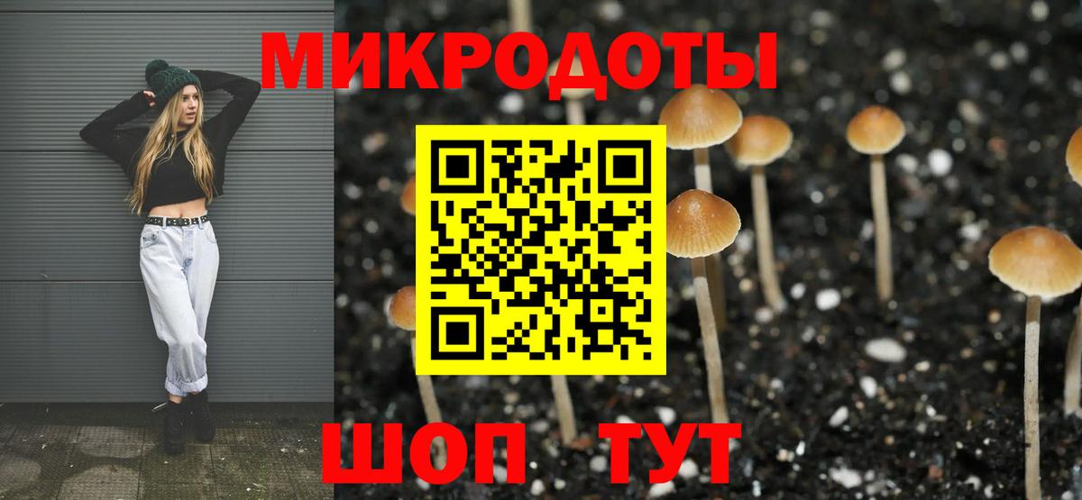 Псилоцибиновые грибы мицелий Соль-Илецк